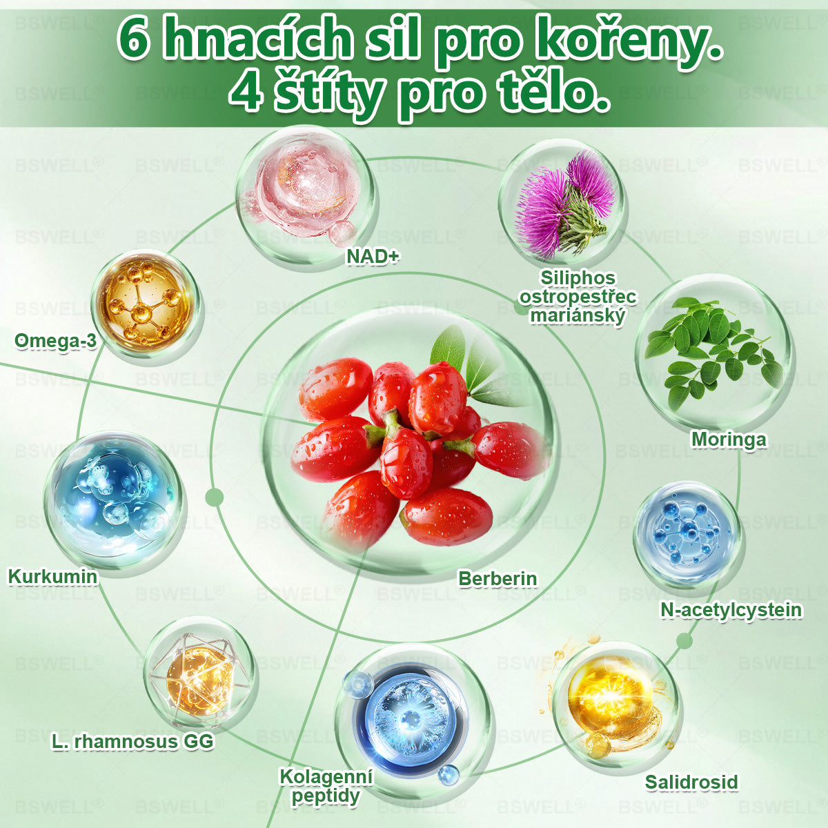 🌱BSWELL® Nano mikrovpichová zeštíhlující náplast✨(Stačí použít pouze jednou denně – viditelné změny již za 28 dní) ✅Bezbolestná, dlouhotrvající, zaměřená na řešení cukrovky, obezity a kardiovaskulárních onemocnění