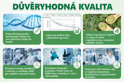 🍀 Oficiální obchod v České republice 🇨🇿 | KKIO® NAD+ & AKG SlimFit Nano-Mikrojehličková náplast – 10 v 1 pro každodenní použití  ✅ pro podporu kontroly hmotnosti, stavu pokožky a celkové tělesné kondice